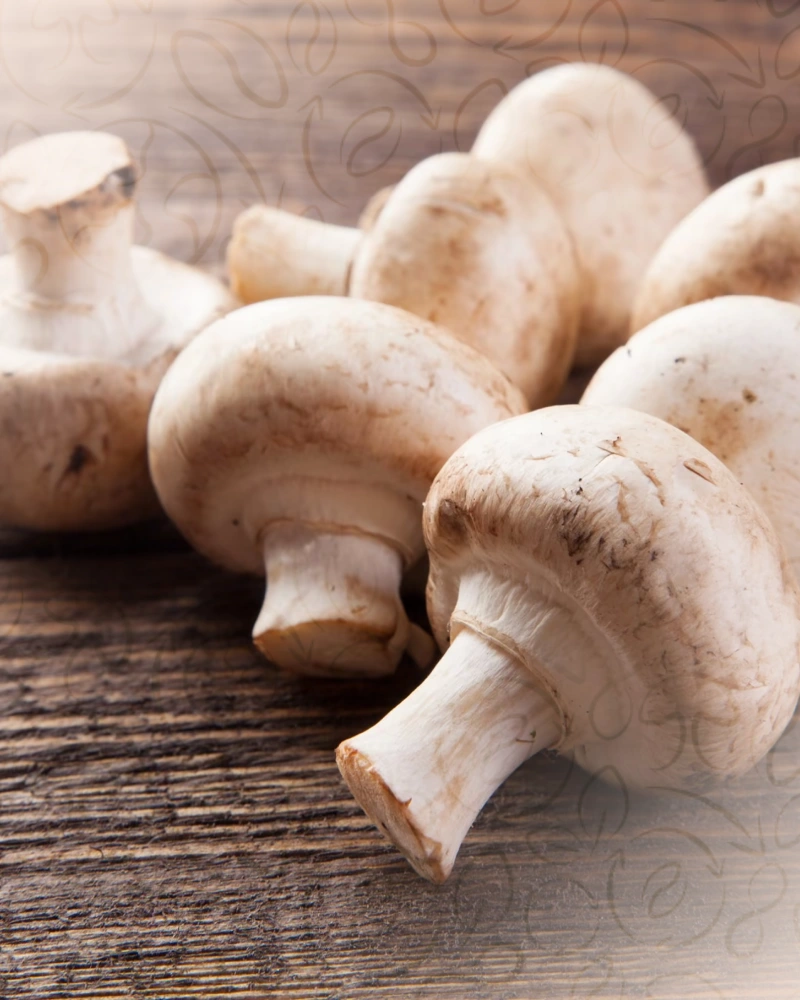 Champignons de Paris blancs